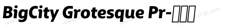BigCity Grotesque Pr字体转换 BigCity Grotesque Pr字体转换